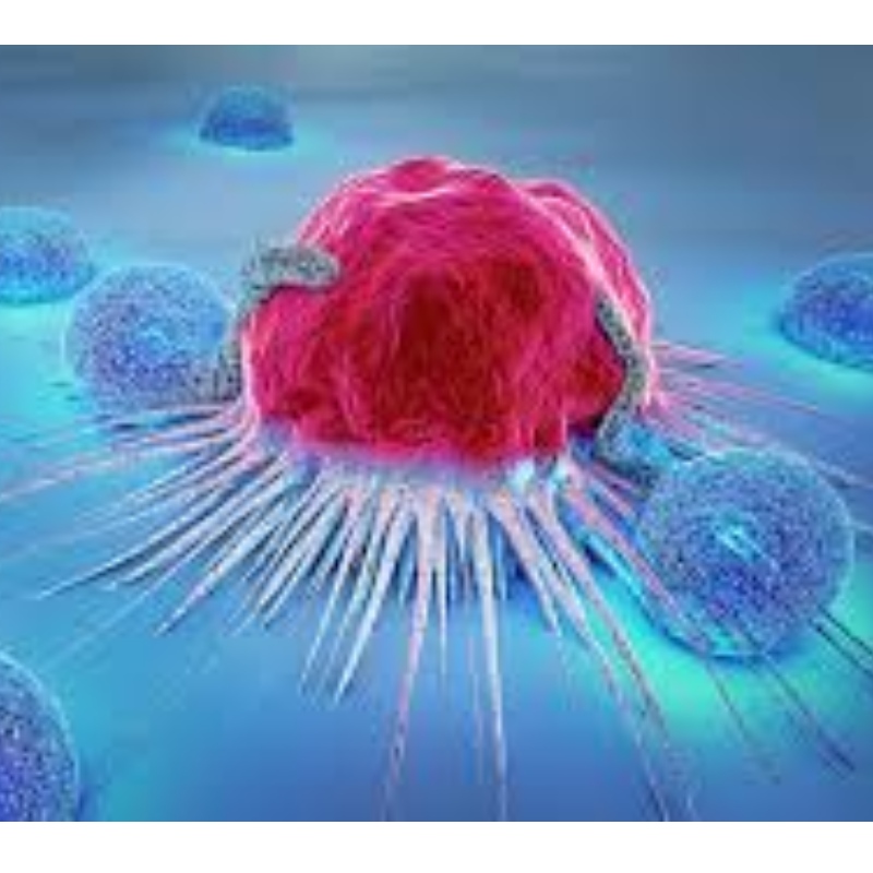 Japan: NMN resists immune cell senescence and inhibits 71.4% tumor growth